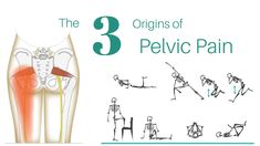 the 3 origins of pelvic pain