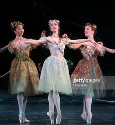 several ballet dancers in tutu skirts and tiaras