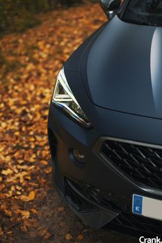 the front end of a black car parked in leaves