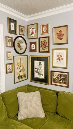 a green couch sitting in front of a wall covered with pictures and framed flowers on it