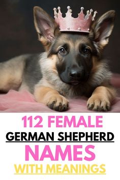 a german shepherd dog wearing a tiara with the words 12 female german shepherd names