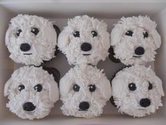 cupcakes made to look like dogs in a box