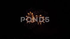 fireworks exploding in the dark sky at night time stock photos and royalty illustrations are also available for