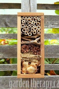 a wooden box filled with lots of different types of bees and other things in it