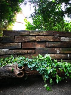 a pile of wood with ivy growing on it