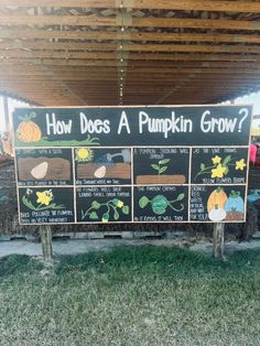 a sign that says how does a pumpkin grow?