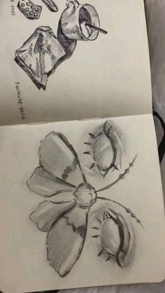 two drawings of flowers are shown on top of each other