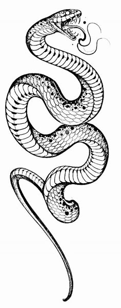 a drawing of a snake on a white background