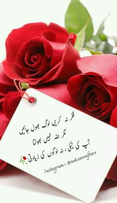 some red roses are next to a white card with an inscription in the language of love