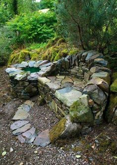 a stone bench sitting in the middle of a forest filled with trees and mossy rocks