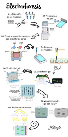 an info sheet describing different types of electronics