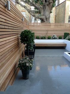 a very nice looking outdoor area with some potted plants on the floor and benches