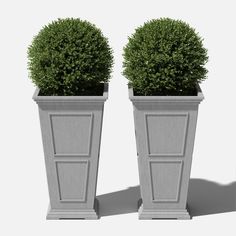 two potted plants sitting next to each other