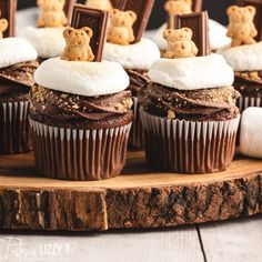 chocolate cupcakes topped with marshmallows and teddy bears on wooden platter