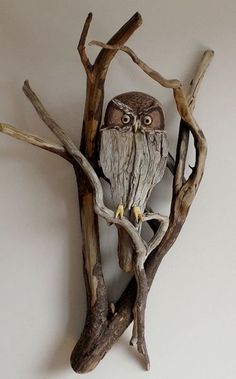 an owl sitting on top of a tree branch