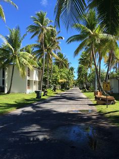 a street lined with palm trees next to a white building and green grass covered yard