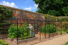 a woman standing next to a garden filled with lots of green plants and vegetables on top of metal frames