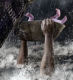 two hands holding a basket in the water with an animal on it's back