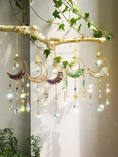 the sun is shining through the window and there are many beads hanging from the tree branch