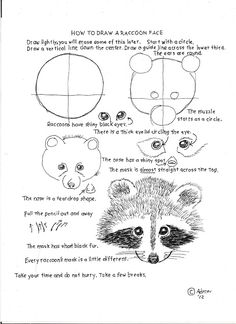 the instructions for how to draw a raccoon's face and other animals