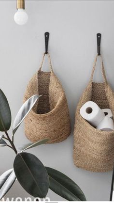 two baskets are hanging on the wall with toilet paper and rolls in them, next to a potted plant