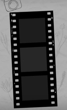 an image of a film strip with some flowers on the side and a camera next to it