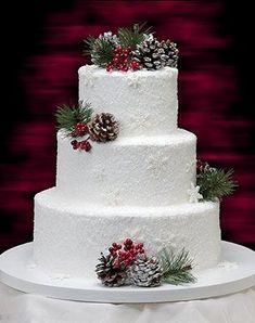 a white wedding cake with pine cones and berries on top is featured in an orange frame