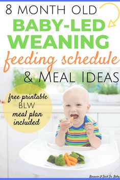 a baby sitting at a table eating food with the words 8 month old baby - led feeding schedule and meal ideas