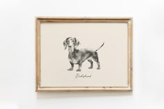 a black and white drawing of a dachshund in a frame on the wall