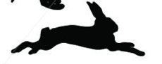 the silhouette of a dog is flying through the air with a kite in it's mouth