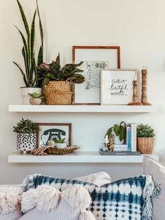 two shelves with plants and pictures on them