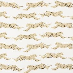 a white and gold wallpaper with cheetah running across the width of each cheetah