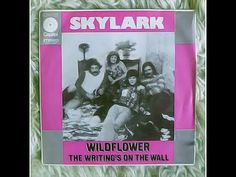 the sky larkk album is shown in pink and black on a green carpeted surface