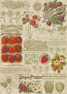 an old poster with strawberries and other fruit on it's back cover is shown