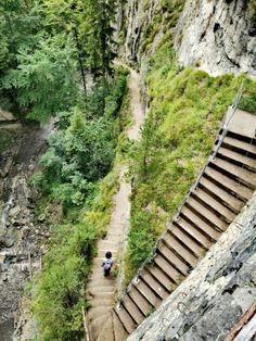 stairs lead up to the top of a steep cliff with trees on both sides and people walking down them