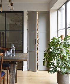 a dining room table with chairs and a potted plant