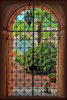 an open window with a view of a garden and palm trees in the back ground