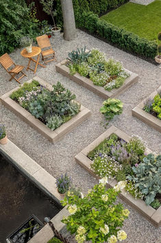 an aerial view of a garden with various plants