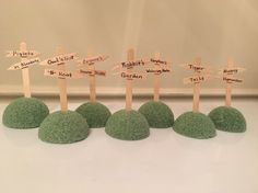 there are seven green rocks with wooden signs on them and one is made out of grass