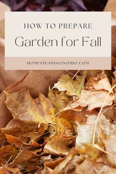 a bag full of leaves with text overlay that reads how to prepare garden for fall