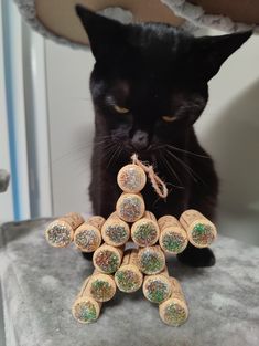 a black cat sitting on top of a pile of wine corks