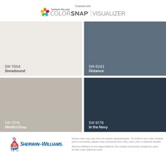 the color scheme for colorsnap visualizer is shown in blue, gray and white