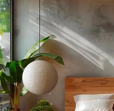 a bed with white sheets and pillows next to a large potted plant in front of a window