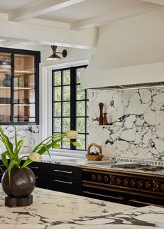 a kitchen with marble counter tops and black cabinets, along with a potted plant