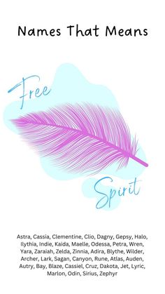 a pink feather with the words free spirit