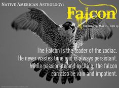 a falcon flying through the air with an eagle on it's back and words above it