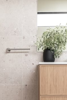 a bathroom with a plant and mirror on the wall