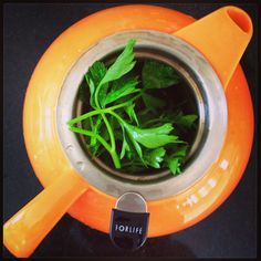 there is a cup with some green leaves in it on top of an orange saucer