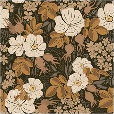 an abstract floral pattern with brown, white and beige flowers on a black background illustration