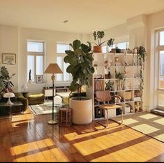 a living room filled with furniture and lots of windows next to a wooden floor covered in plants